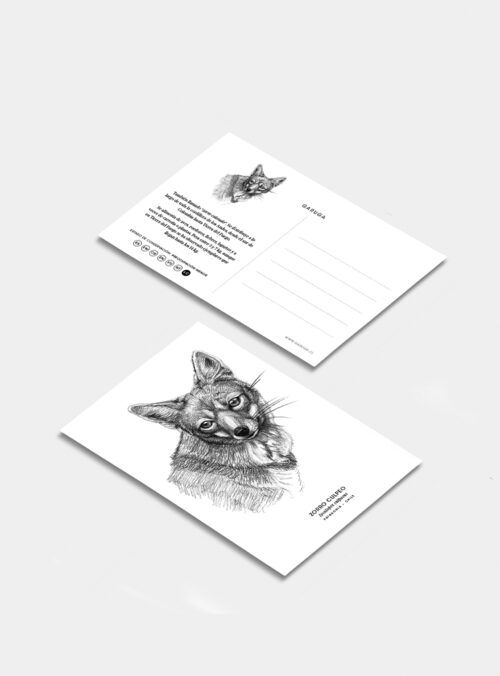 Postal - Zorro Culpeo