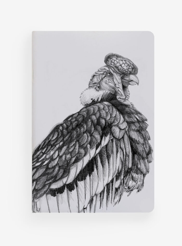 Libreta - Cóndor