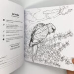 Promoción 2 Libros para colorear - Tomo I y Tomo II