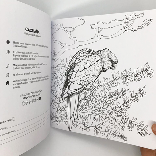 Promoción 2 Libros para colorear - Tomo I y Tomo II