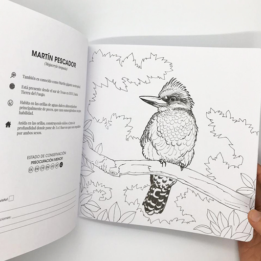 Promoción 2 Libros para colorear - Tomo I y Tomo II