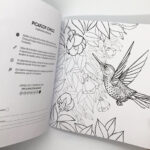 Promoción 2 Libros para colorear - Tomo I y Tomo II