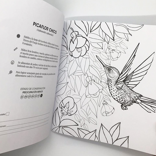 Promoción 2 Libros para colorear - Tomo I y Tomo II