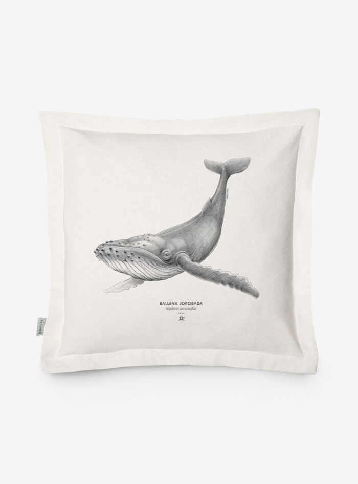 Funda Cojín- Ballena Jorobada