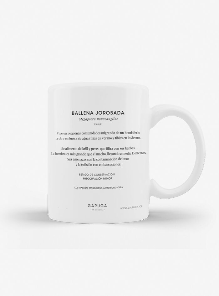 Tazón - Ballena Jorobada