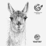 Tazón - Guanaco