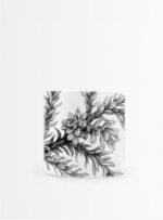 Set 4 Tazas Hojas