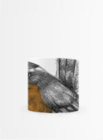 Set 4 Tazas Plumas
