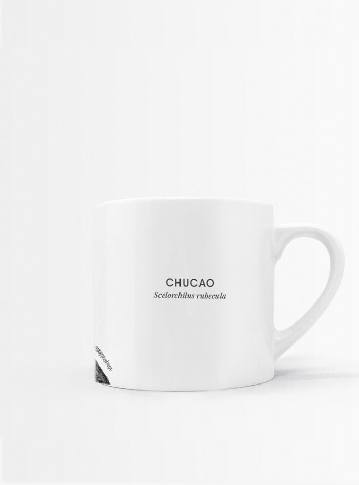 Set 4 Tazas Plumas