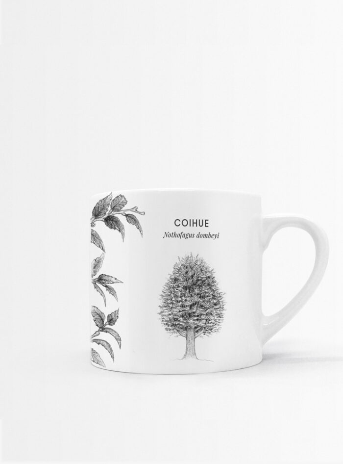 Set 4 Tazas Hojas