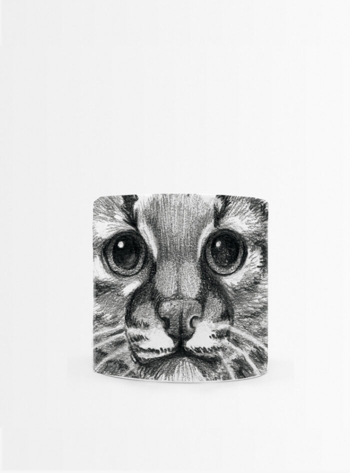 Set 4 Tazas Mamíferos