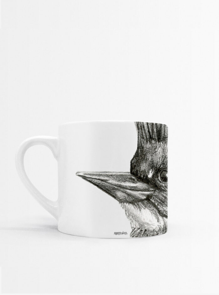 Set 4 Tazas Plumas