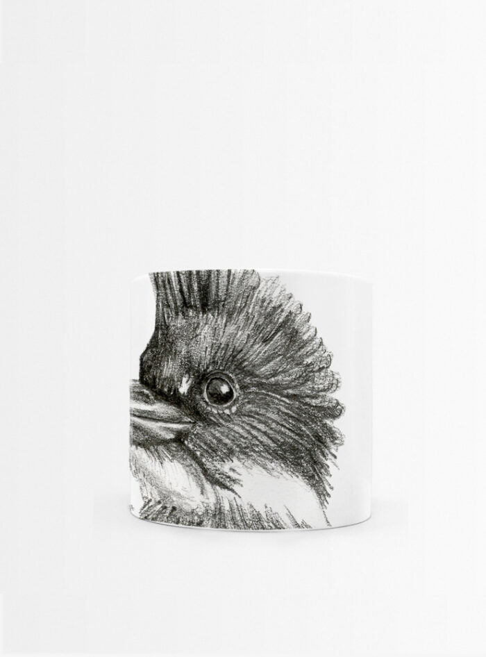 Set 4 Tazas Plumas