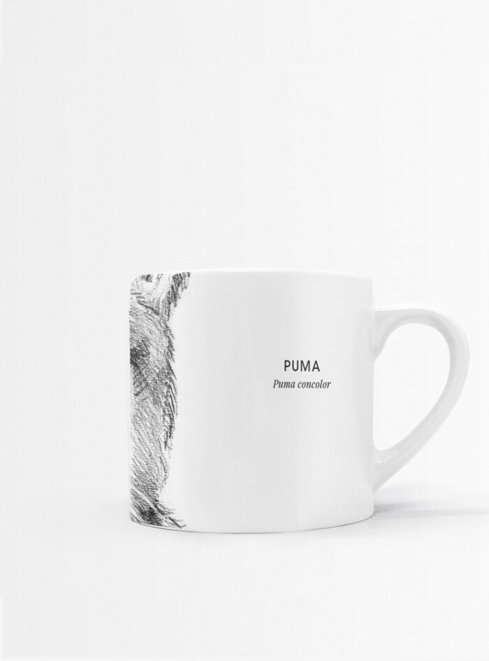 Set 4 Tazas Mamíferos