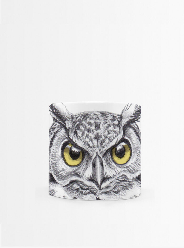 Set 4 Tazas Plumas