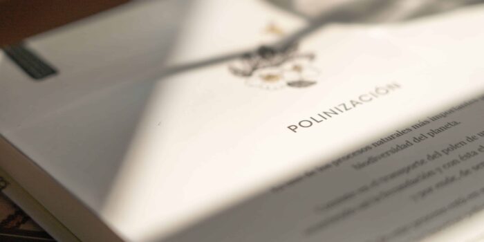 Cuaderno Polinización