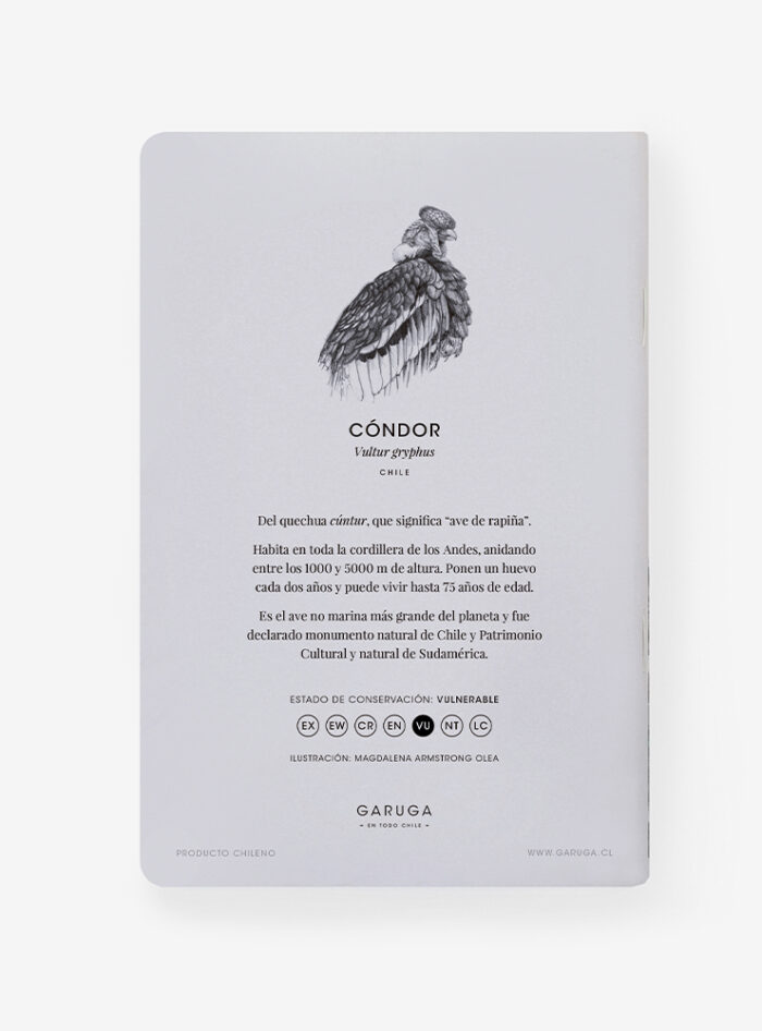 Libreta - Cóndor