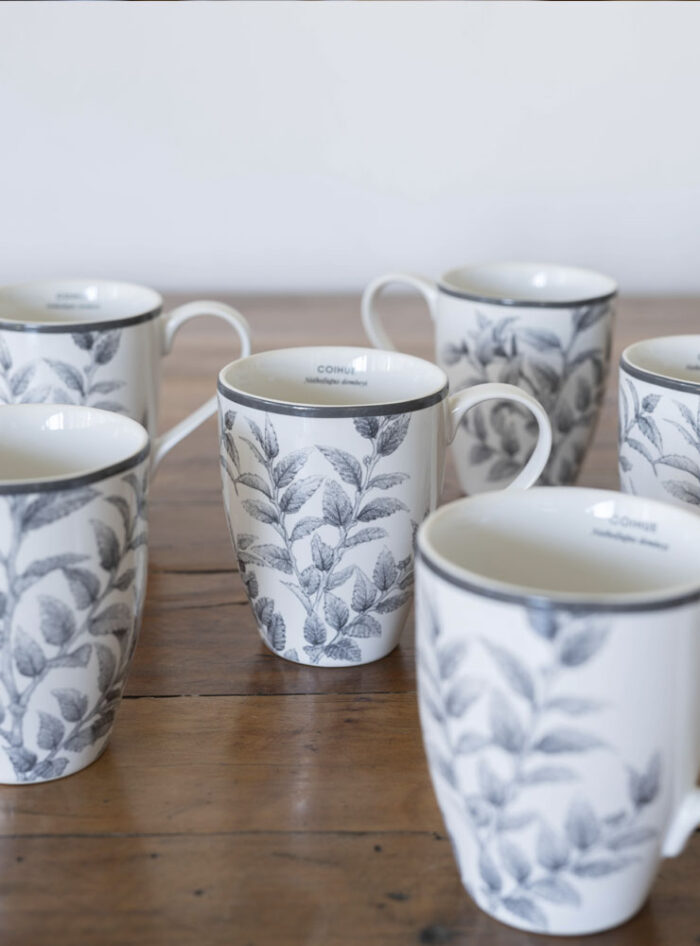 Set 6 Mugs Porcelana Coihue