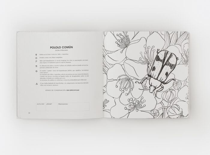 Promoción 2 Libros para colorear - Tomo I y Tomo II