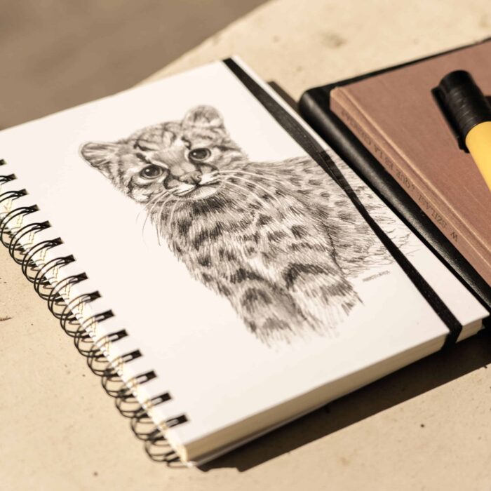 Cuaderno Abejorro