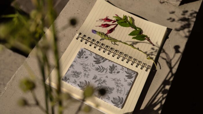 Cuaderno Abejorro