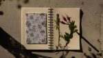 Cuaderno Abejorro