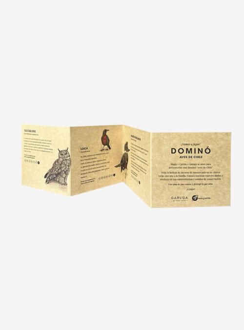 DominoWEB_0012_FOLLETO
