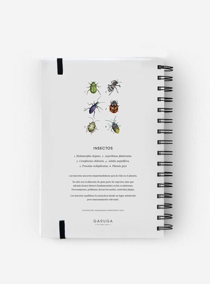 Cuaderno Huemul