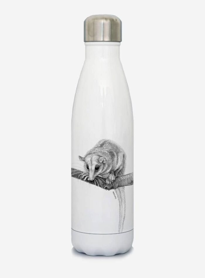 Botella Térmica - Monito del Monte