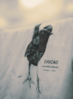 Polerón Canguro - Chucao Blanco