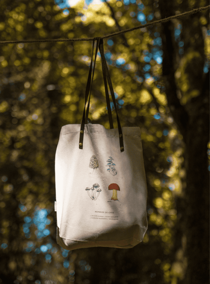 Totebag - Zorro Culpeo