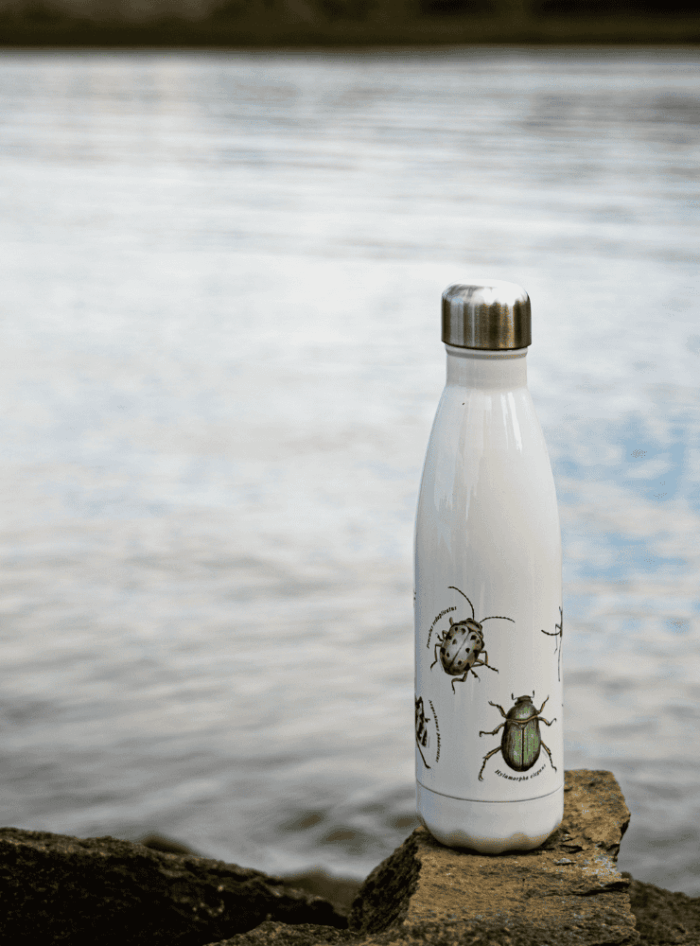 Botella Térmica - Fondo Marino