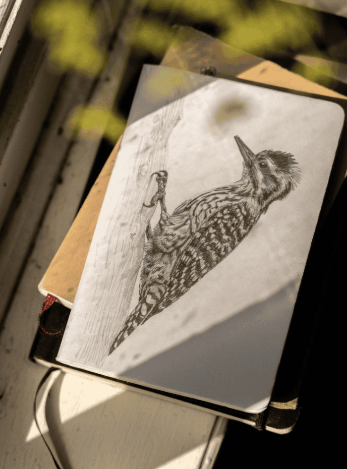 Libreta - Chucao