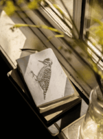 Libreta - Sotobosque