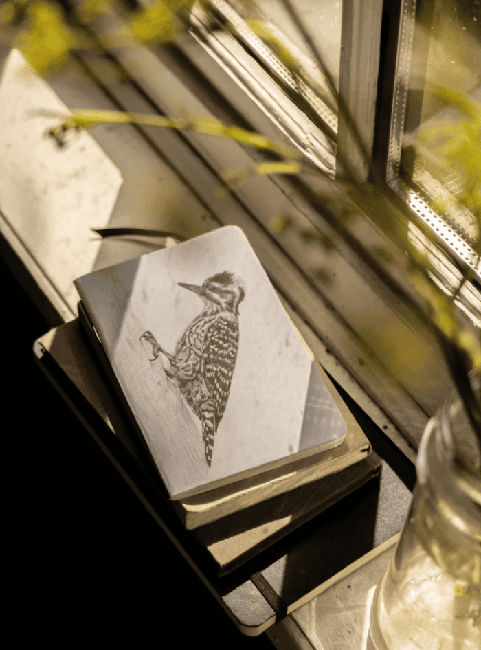 Libreta - Sotobosque