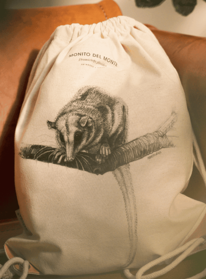 Mochila - Zorro Culpeo