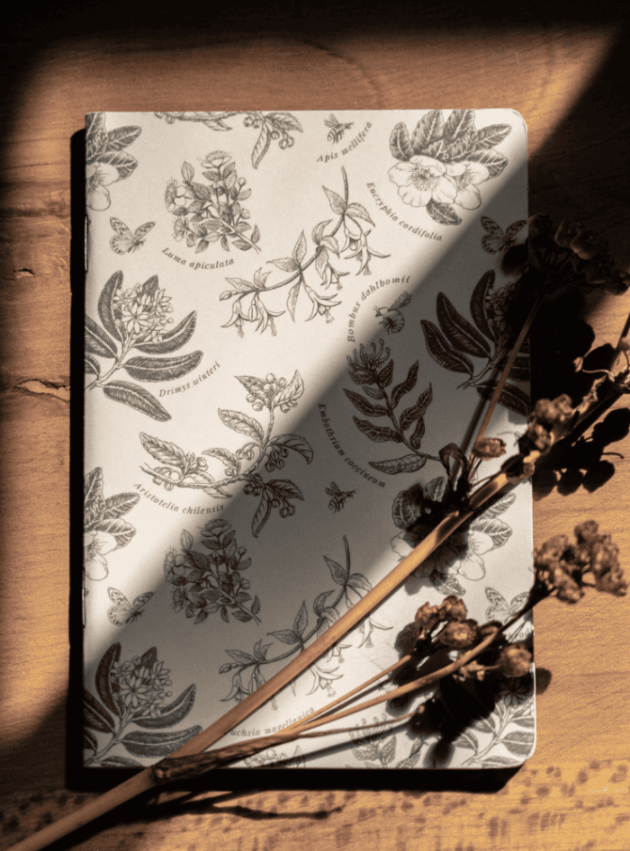 Libreta - Polinización