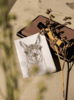 Libreta - Guanaco