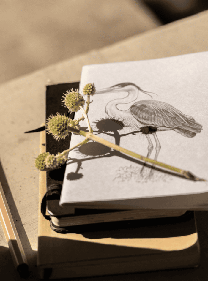 Libreta - Güiña