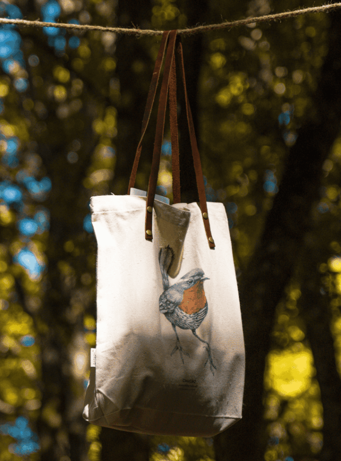 Totebag - Monito del monte