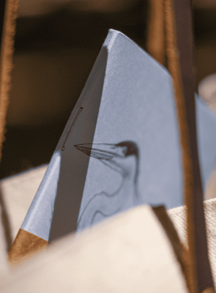 Libreta - Delfín chileno