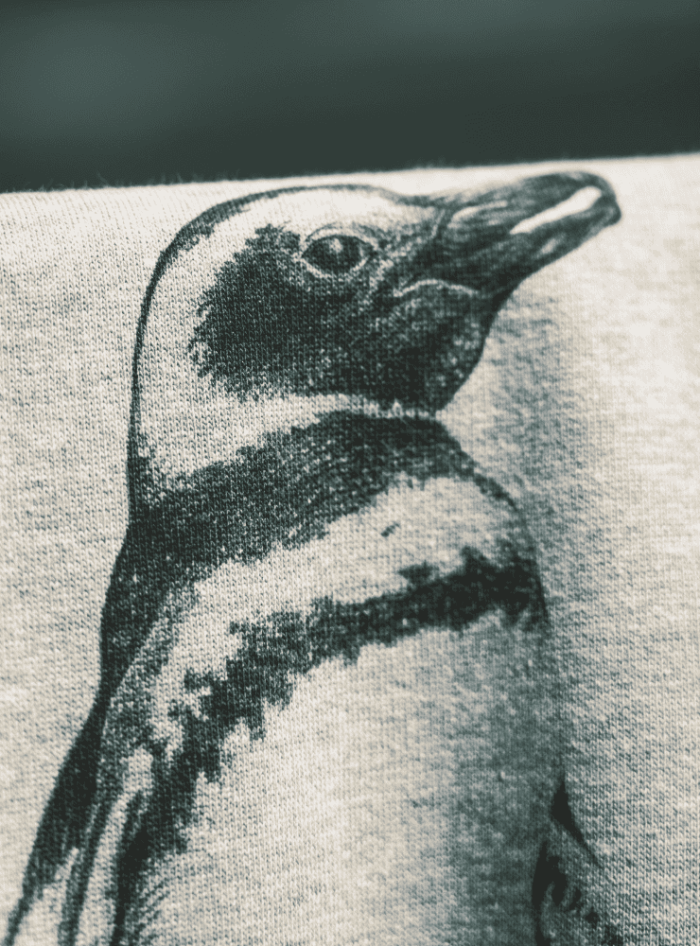 Polerón Gorro Gris- Pinguino de Magallanes