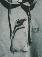 Polerón Gorro Gris- Pinguino de Magallanes