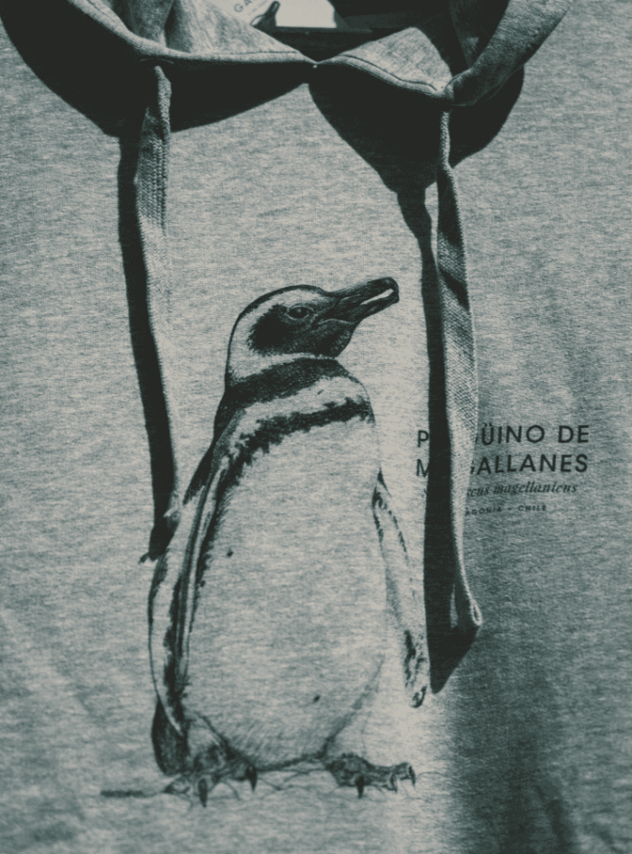 Polerón Gorro Gris- Pinguino de Magallanes