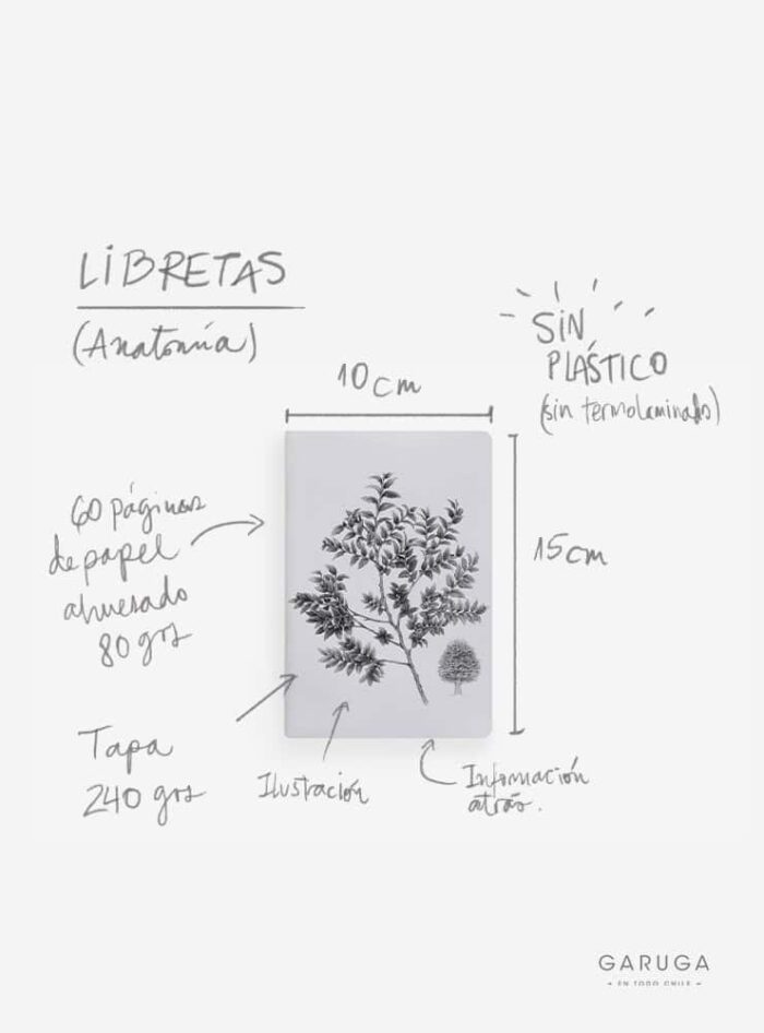 Libreta - Chucao