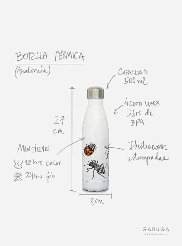 Botella Térmica - Amanita Gayana
