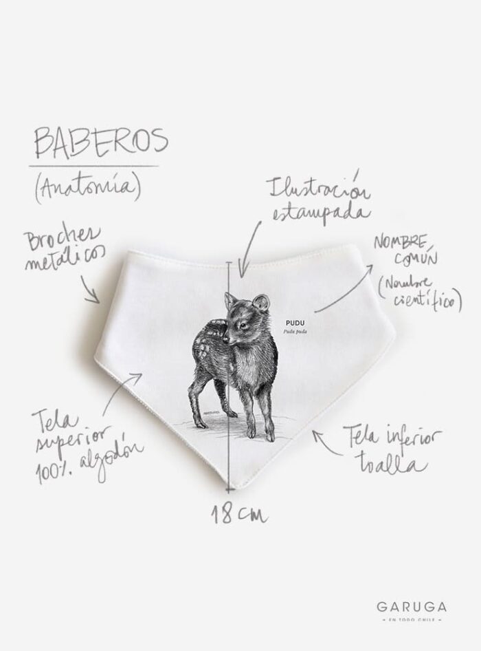 Babero Loica