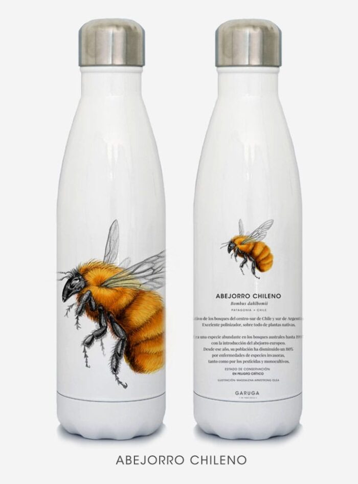Botella Térmica - Abejorro chileno