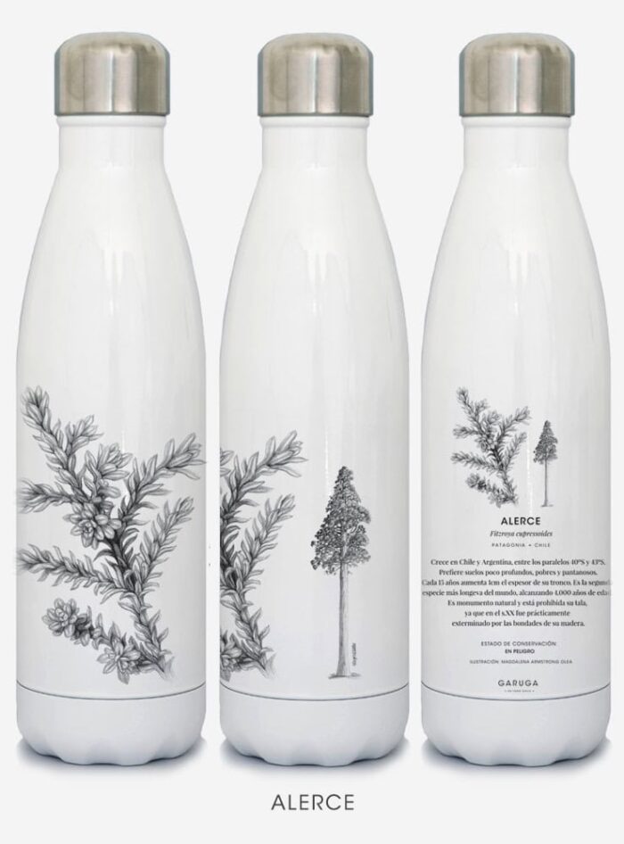 Botella Térmica - Alerce