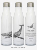 Botella Térmica - Ballena jorobada